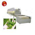 Black Soldier Fly Tenebrio Mealworm Insect Industrial Conveyor Belt Microwave Drying Sterilization Baking Equipment